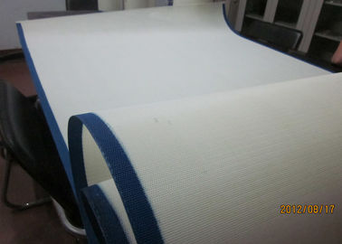 Plain Weave 0.50mm Nylon Screen Mesh Fabric For Tea Industry , 0.2mm-0.75mm